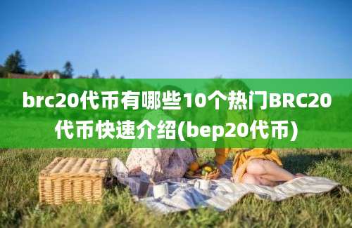 brc20代币有哪些10个热门BRC20代币快速介绍(bep20代币)