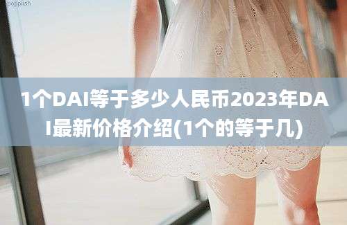 1个DAI等于多少人民币2023年DAI最新价格介绍(1个的等于几)