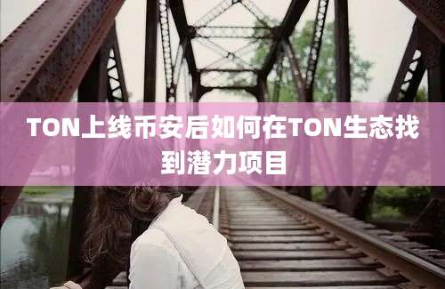 TON上线币安后如何在TON生态找到潜力项目