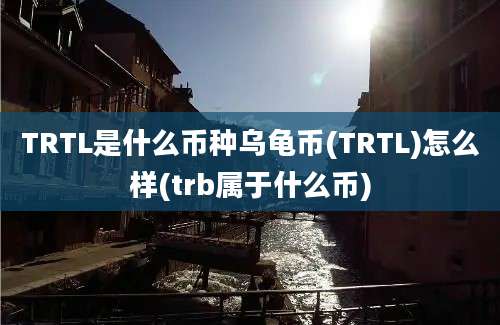 TRTL是什么币种乌龟币(TRTL)怎么样(trb属于什么币)