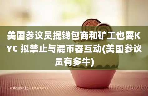 美国参议员提钱包商和矿工也要KYC 拟禁止与混币器互动(美国参议员有多牛)