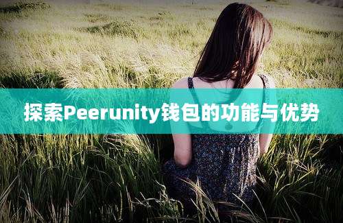 探索Peerunity钱包的功能与优势