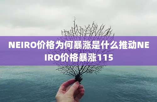 NEIRO价格为何暴涨是什么推动NEIRO价格暴涨115