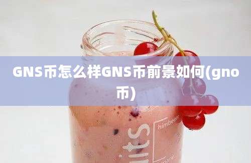 GNS币怎么样GNS币前景如何(gno币)