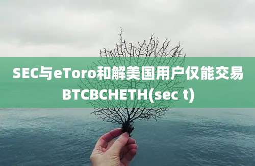 SEC与eToro和解美国用户仅能交易BTCBCHETH(sec t)