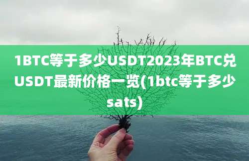 1BTC等于多少USDT2023年BTC兑USDT最新价格一览(1btc等于多少sats)