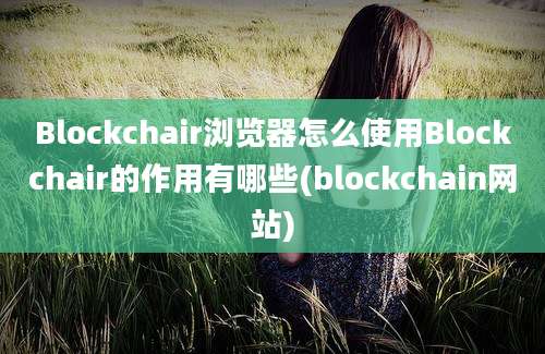 Blockchair浏览器怎么使用Blockchair的作用有哪些(blockchain网站)