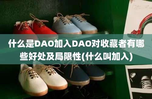 什么是DAO加入DAO对收藏者有哪些好处及局限性(什么叫加入)