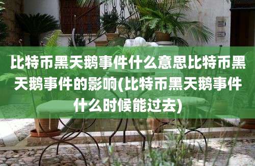 比特币黑天鹅事件什么意思比特币黑天鹅事件的影响(比特币黑天鹅事件什么时候能过去)