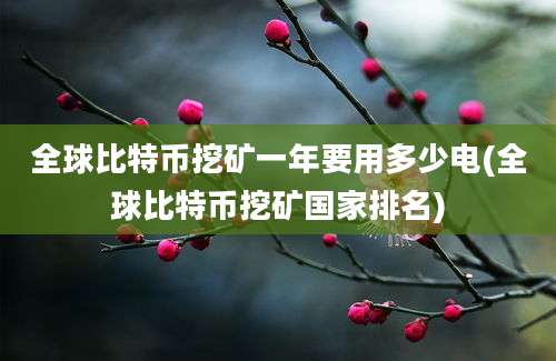 全球比特币挖矿一年要用多少电(全球比特币挖矿国家排名)