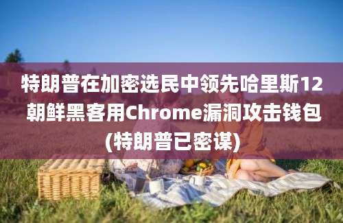 特朗普在加密选民中领先哈里斯12 朝鲜黑客用Chrome漏洞攻击钱包(特朗普已密谋)