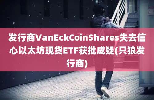 发行商VanEckCoinShares失去信心以太坊现货ETF获批成疑(只狼发行商)