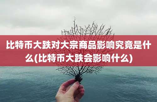 比特币大跌对大宗商品影响究竟是什么(比特币大跌会影响什么)