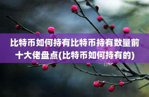 比特币如何持有比特币持有数量前十大佬盘点(比特币如何持有的)