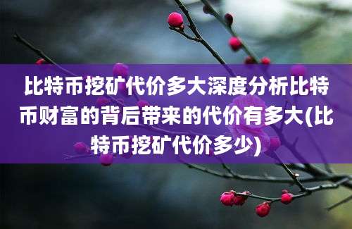 比特币挖矿代价多大深度分析比特币财富的背后带来的代价有多大(比特币挖矿代价多少)