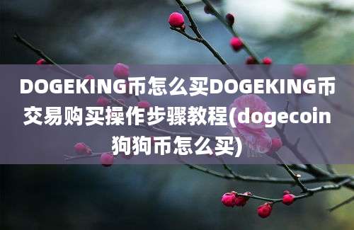 DOGEKING币怎么买DOGEKING币交易购买操作步骤教程(dogecoin狗狗币怎么买)