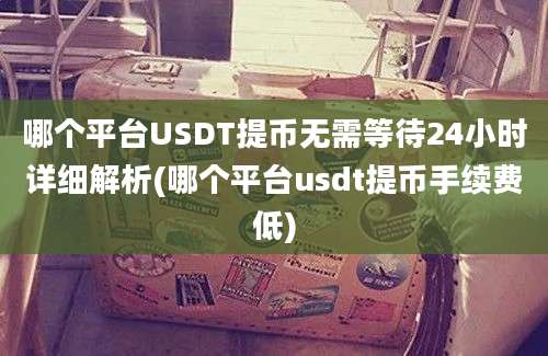 哪个平台USDT提币无需等待24小时详细解析(哪个平台usdt提币手续费低)