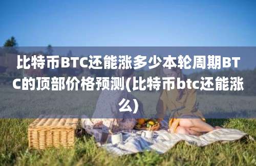 比特币BTC还能涨多少本轮周期BTC的顶部价格预测(比特币btc还能涨么)