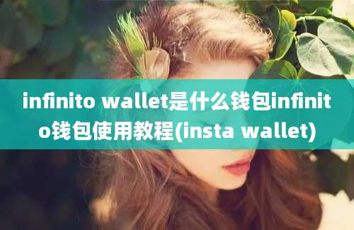 infinito wallet是什么钱包infinito钱包使用教程(insta wallet)