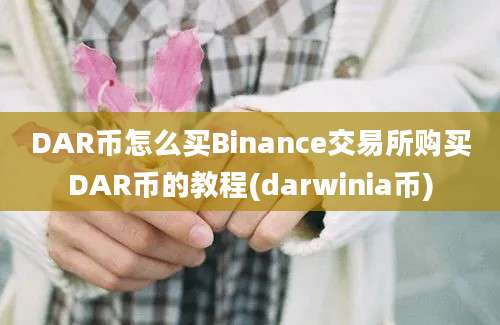 DAR币怎么买Binance交易所购买DAR币的教程(darwinia币)