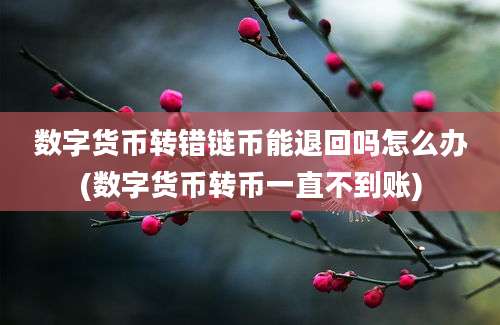 数字货币转错链币能退回吗怎么办(数字货币转币一直不到账)