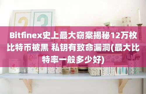 Bitfinex史上最大窃案揭秘12万枚比特币被黑 私钥有致命漏洞(最大比特率一般多少好)