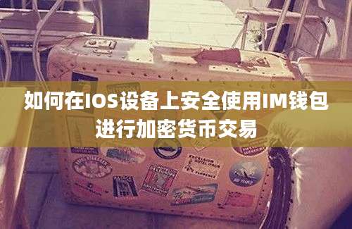 如何在IOS设备上安全使用IM钱包进行加密货币交易