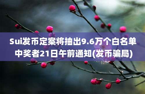 Sui发币定案将抽出9.6万个白名单 中奖者21日午前通知(发币骗局)