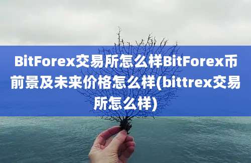 BitForex交易所怎么样BitForex币前景及未来价格怎么样(bittrex交易所怎么样)