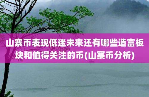 山寨币表现低迷未来还有哪些造富板块和值得关注的币(山寨币分析)