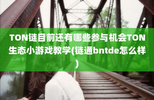 TON链目前还有哪些参与机会TON生态小游戏教学(链通bntde怎么样)