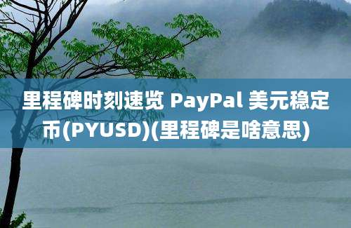 里程碑时刻速览 PayPal 美元稳定币(PYUSD)(里程碑是啥意思)