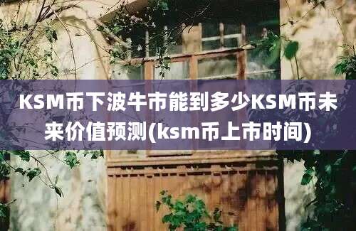 KSM币下波牛市能到多少KSM币未来价值预测(ksm币上市时间)