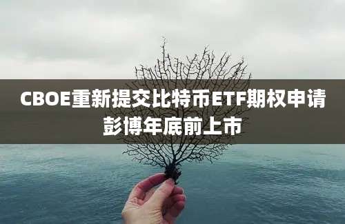 CBOE重新提交比特币ETF期权申请彭博年底前上市