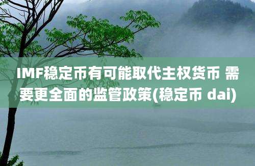 IMF稳定币有可能取代主权货币 需要更全面的监管政策(稳定币 dai)