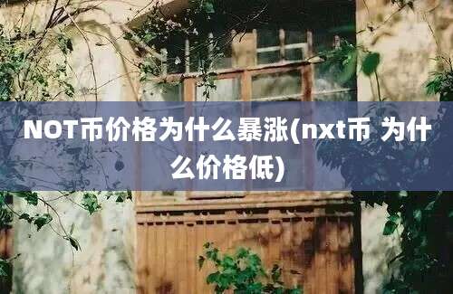 NOT币价格为什么暴涨(nxt币 为什么价格低)