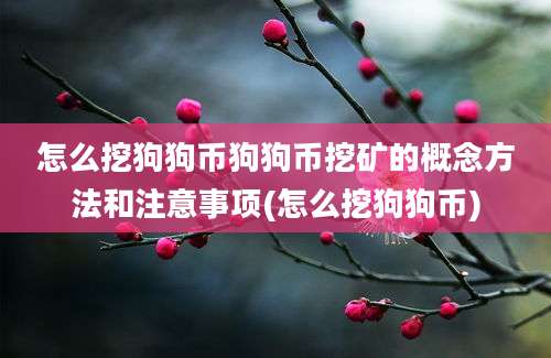 怎么挖狗狗币狗狗币挖矿的概念方法和注意事项(怎么挖狗狗币)