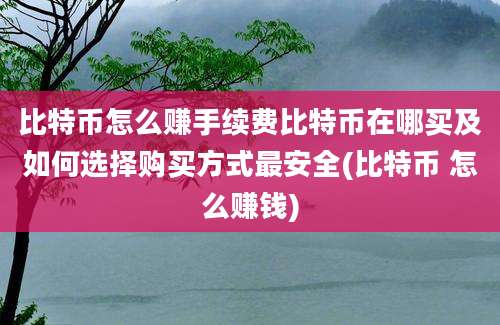 比特币怎么赚手续费比特币在哪买及如何选择购买方式最安全(比特币 怎么赚钱)