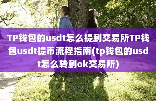 TP钱包的usdt怎么提到交易所TP钱包usdt提币流程指南(tp钱包的usdt怎么转到ok交易所)