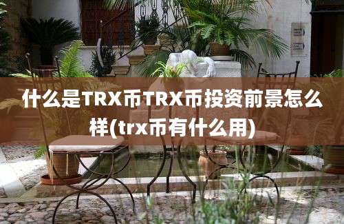 什么是TRX币TRX币投资前景怎么样(trx币有什么用)