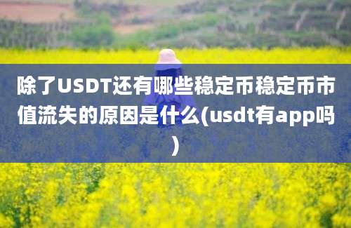 除了USDT还有哪些稳定币稳定币市值流失的原因是什么(usdt有app吗)