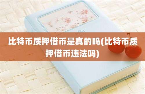 比特币质押借币是真的吗(比特币质押借币违法吗)