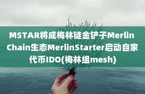 MSTAR将成梅林链金铲子Merlin Chain生态MerlinStarter启动自家代币IDO(梅林组mesh)