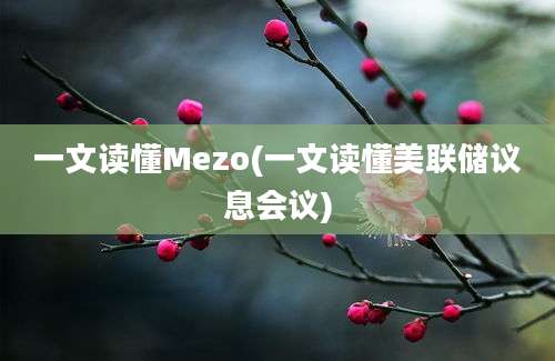 一文读懂Mezo(一文读懂美联储议息会议)