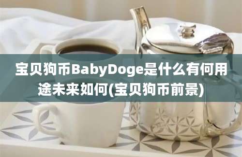 宝贝狗币BabyDoge是什么有何用途未来如何(宝贝狗币前景)