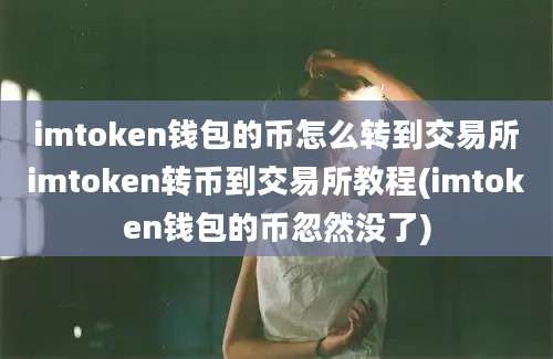 imtoken钱包的币怎么转到交易所imtoken转币到交易所教程(imtoken钱包的币忽然没了)