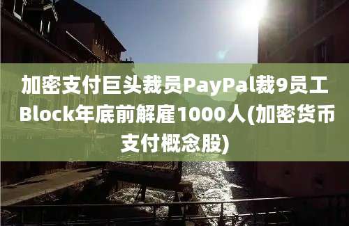 加密支付巨头裁员PayPal裁9员工 Block年底前解雇1000人(加密货币支付概念股)