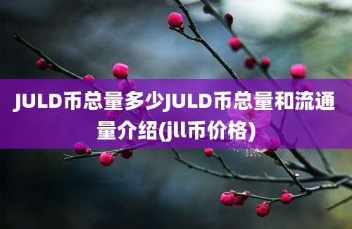 JULD币总量多少JULD币总量和流通量介绍(jll币价格)