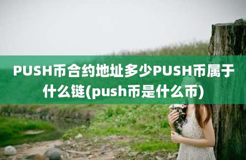 PUSH币合约地址多少PUSH币属于什么链(push币是什么币)