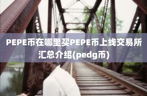 PEPE币在哪里买PEPE币上线交易所汇总介绍(pedg币)